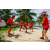 Team 54 / Raid Amazones Sri Lanka 2018 - J4 The Game