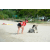 Raid Amazones Sri Lanka 2018 - J4 The Game