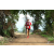 Team 54 / Raid Amazones Sri Lanka 2018 - J5 Bike and Run