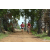Team 80 / Raid Amazones Sri Lanka 2018 - J5 Bike and Run