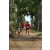 Team 49 / Raid Amazones Sri Lanka 2018 - J5 Bike and Run