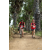 Team 34 / Raid Amazones Sri Lanka 2018 - J5 Bike and Run