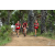 Team 145 / Raid Amazones Sri Lanka 2018 - J5 Bike and Run
