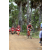 Team 10 / Raid Amazones Sri Lanka 2018 - J5 Bike and Run