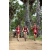 Team 137 / Raid Amazones Sri Lanka 2018 - J5 Bike and Run