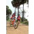 Team 27 / Raid Amazones Sri Lanka 2018 - J5 Bike and Run