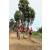 Team 111 / Raid Amazones Sri Lanka 2018 - J5 Bike and Run