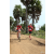 Team 05 / Raid Amazones Sri Lanka 2018 - J5 Bike and Run