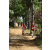 Team 63 / Raid Amazones Sri Lanka 2018 - J5 Bike and Run
