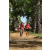 Team 62 / Raid Amazones Sri Lanka 2018 - J5 Bike and Run