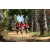 Team 114 / Raid Amazones Sri Lanka 2018 - J5 Bike and Run