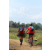 Team 04 / Raid Amazones Sri Lanka 2018 - J5 Bike and Run