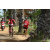 Team 68 / Raid Amazones Sri Lanka 2018 - J5 Bike and Run