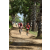 Team 53 / Raid Amazones Sri Lanka 2018 - J5 Bike and Run