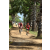 Team 53 / Raid Amazones Sri Lanka 2018 - J5 Bike and Run