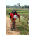 Team 43 / Raid Amazones Sri Lanka 2018 - J5 Bike and Run