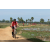 Team 116 / Raid Amazones Sri Lanka 2018 - J5 Bike and Run