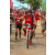 Team 114 / Raid Amazones Sri Lanka 2018 - J5 Bike and Run