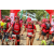 Team 16 / Raid Amazones Sri Lanka 2018 - J5 Bike and Run