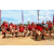 Raid Amazones Sri Lanka 2018 - J5 Bike and Run