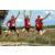 Team 150 / Raid Amazones Sri Lanka 2018 - J5 Bike and Run