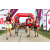 Team 66 / Raid Amazones Sri Lanka 2018 - J5 Bike and Run