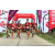 Team 101 / Raid Amazones Sri Lanka 2018 - J5 Bike and Run