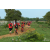 Raid Amazones Sri Lanka 2018 - J5 Bike and Run