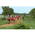 Raid Amazones Sri Lanka 2018 - J5 Bike and Run