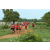 Raid Amazones Sri Lanka 2018 - J5 Bike and Run