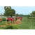 Raid Amazones Sri Lanka 2018 - J5 Bike and Run