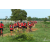 Raid Amazones Sri Lanka 2018 - J5 Bike and Run