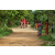 Team 106 / Raid Amazones Sri Lanka 2018 - J5 Bike and Run