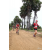 Team 13 / Raid Amazones Sri Lanka 2018 - J5 Bike and Run