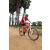 Team 58 / Raid Amazones Sri Lanka 2018 - J5 Bike and Run
