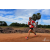 Team 54 / Raid Amazones Sri Lanka 2018 - J5 Bike and Run