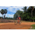 Team 12 / Raid Amazones Sri Lanka 2018 - J5 Bike and Run