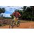 Team 54 / Raid Amazones Sri Lanka 2018 - J5 Bike and Run