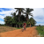 Team 66 / Raid Amazones Sri Lanka 2018 - J5 Bike and Run