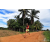 Team 66 / Raid Amazones Sri Lanka 2018 - J5 Bike and Run