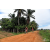 Team 112 / Raid Amazones Sri Lanka 2018 - J5 Bike and Run