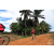 Team 112 / Raid Amazones Sri Lanka 2018 - J5 Bike and Run