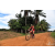 Team 106 / Raid Amazones Sri Lanka 2018 - J5 Bike and Run