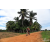 Team 11 / Raid Amazones Sri Lanka 2018 - J5 Bike and Run