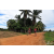 Team 40 / Raid Amazones Sri Lanka 2018 - J5 Bike and Run
