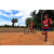 Team 40 / Raid Amazones Sri Lanka 2018 - J5 Bike and Run