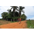 Team 55 / Raid Amazones Sri Lanka 2018 - J5 Bike and Run
