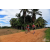 Team 78 / Raid Amazones Sri Lanka 2018 - J5 Bike and Run