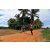 Team 69 / Raid Amazones Sri Lanka 2018 - J5 Bike and Run