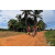 Team 23 / Raid Amazones Sri Lanka 2018 - J5 Bike and Run